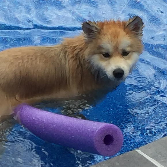 Meet your Posher, Jeff - Picture 5 of 8